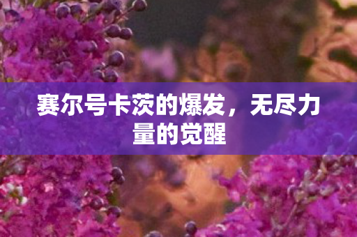 赛尔号卡茨的爆发图片