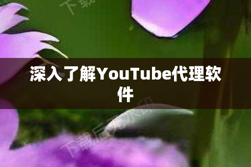 深入了解YouTube代理软件图片