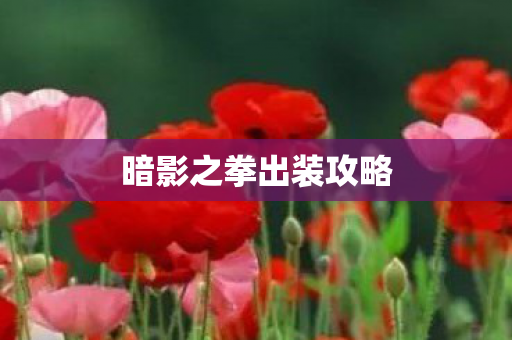 暗影之拳出装攻略图片