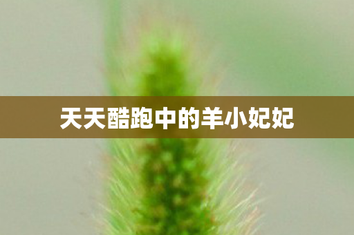 天天酷跑中的羊小妃妃图片