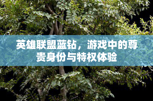 游戏中的尊贵身份与特权体验图片