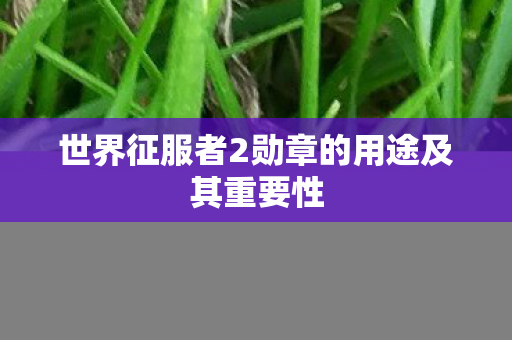 世界征服者2勋章的用途及其重要性图片