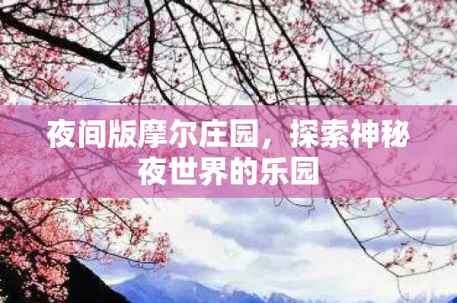 探索神秘夜世界的乐园图片