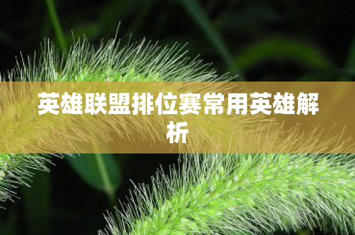 英雄联盟排位赛常用英雄解析图片
