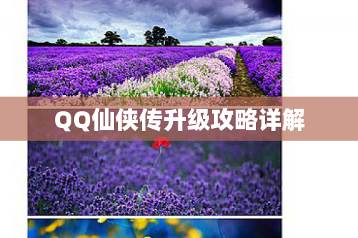 QQ仙侠传升级攻略详解图片