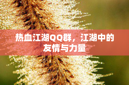 江湖中的友情与力量图片