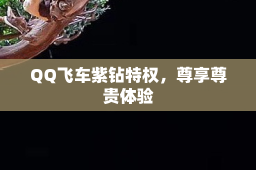 QQ飞车紫钻特权图片