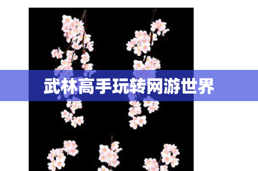 武林高手玩转网游世界图片