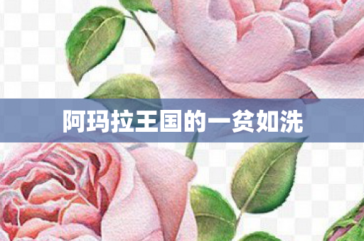 阿玛拉王国的一贫如洗图片