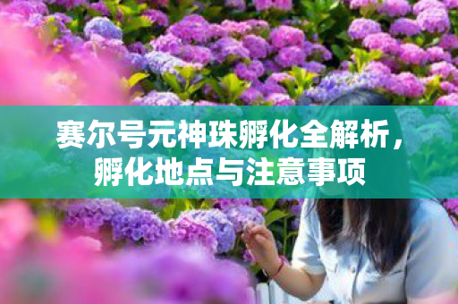 赛尔号元神珠孵化全解析图片