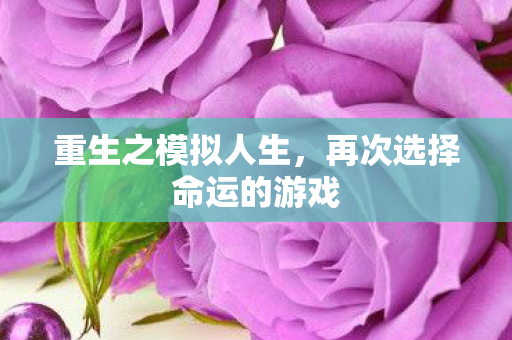 再次选择命运的游戏图片