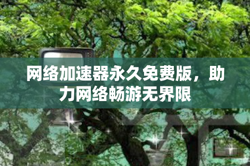 网络加速器永久免费版图片
