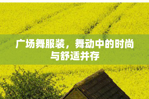 舞动中的时尚与舒适并存图片