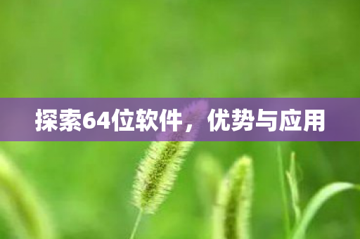 探索64位软件图片