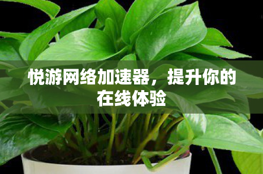 提升你的在线体验图片