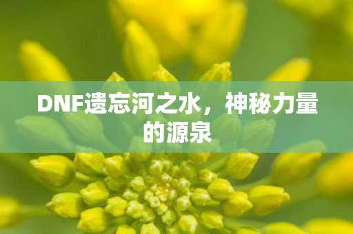 DNF遗忘河之水图片