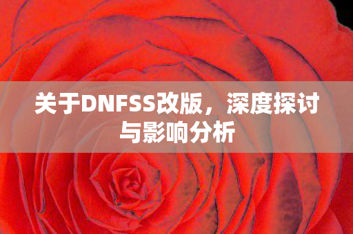 关于DNFSS改版图片
