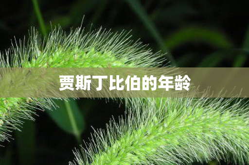 贾斯丁比伯的年龄图片