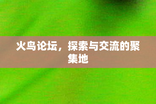 探索与交流的聚集地图片