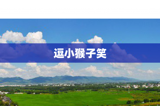 逗小猴子笑图片