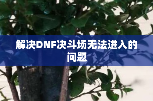 解决DNF决斗场无法进入的问题图片