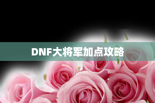 DNF大将军加点攻略图片