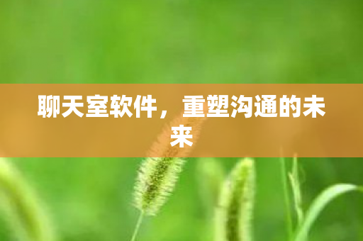 重塑沟通的未来图片