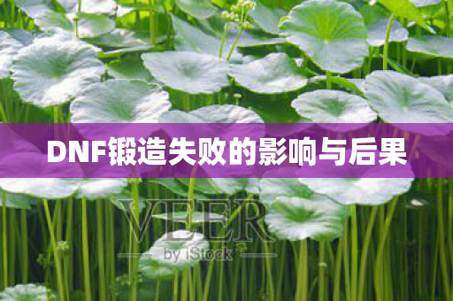 DNF锻造失败的影响与后果图片