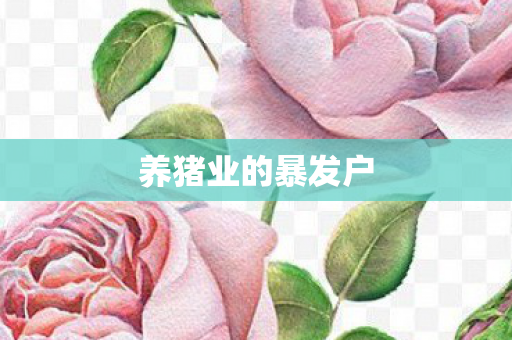 养猪业的暴发户图片