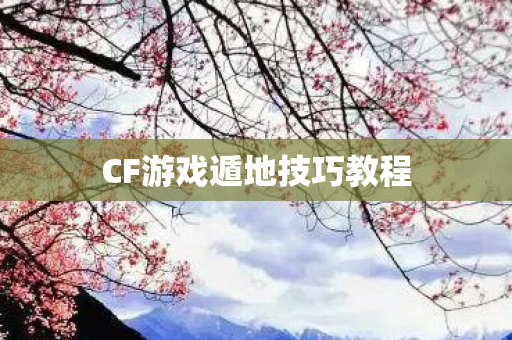 CF游戏遁地技巧教程图片