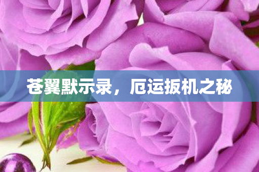 厄运扳机之秘图片