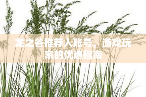 游戏玩家的优选指南图片