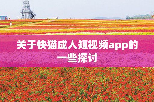 关于快猫成人短视频app的一些探讨图片