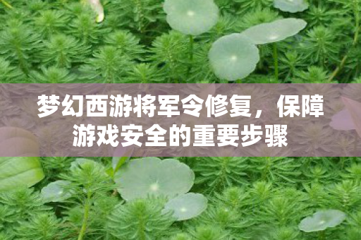 保障游戏安全的重要步骤图片
