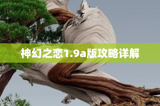 9a版攻略详解图片