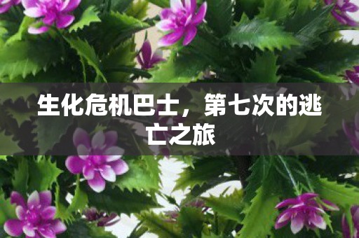 第七次的逃亡之旅图片
