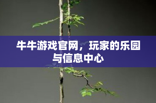 玩家的乐园与信息中心图片