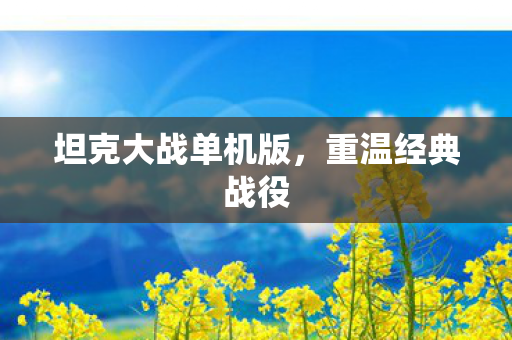 坦克大战单机版图片