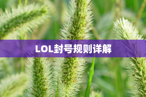 LOL封号规则详解图片