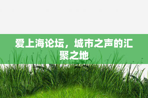 城市之声的汇聚之地图片