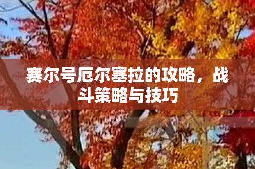 赛尔号厄尔塞拉的攻略图片
