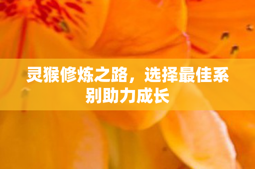选择最佳系别助力成长图片