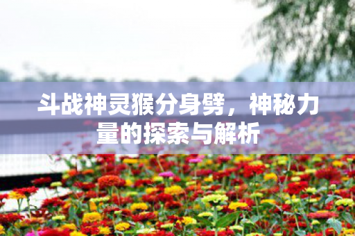 神秘力量的探索与解析图片