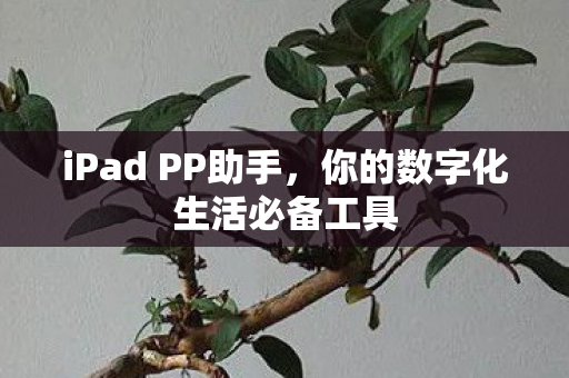 你的数字化生活必备工具图片