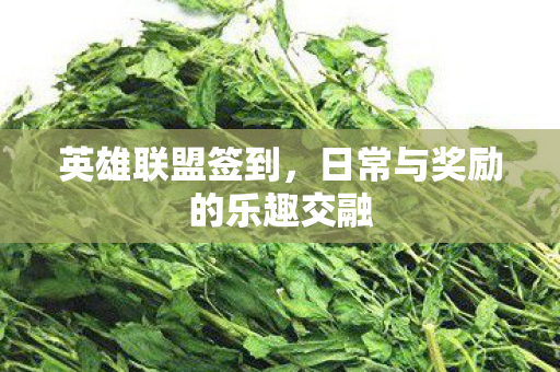 日常与奖励的乐趣交融图片