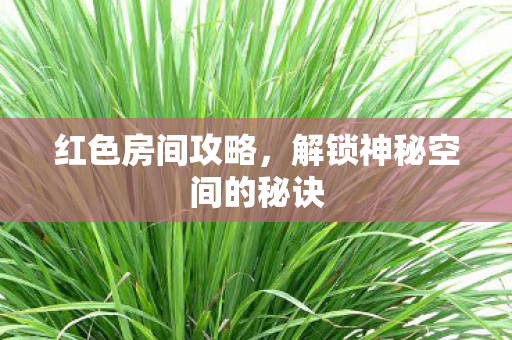 解锁神秘空间的秘诀图片