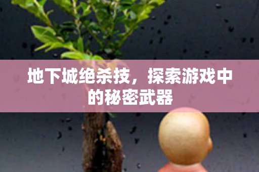 探索游戏中的秘密武器图片