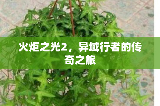 异域行者的传奇之旅图片