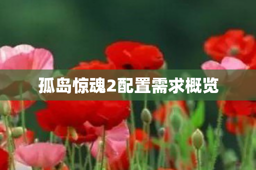 孤岛惊魂2配置需求概览图片