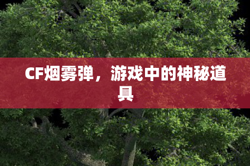 游戏中的神秘道具图片